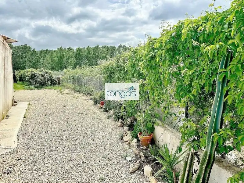 Casa o xalet en venda a El Genovés