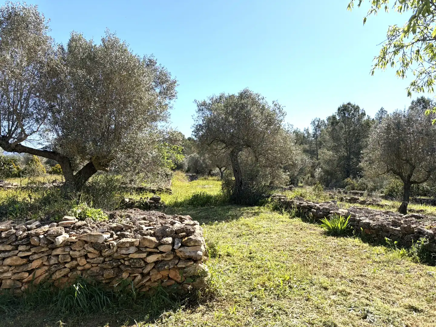 Finca rústica en venta en Tivissa