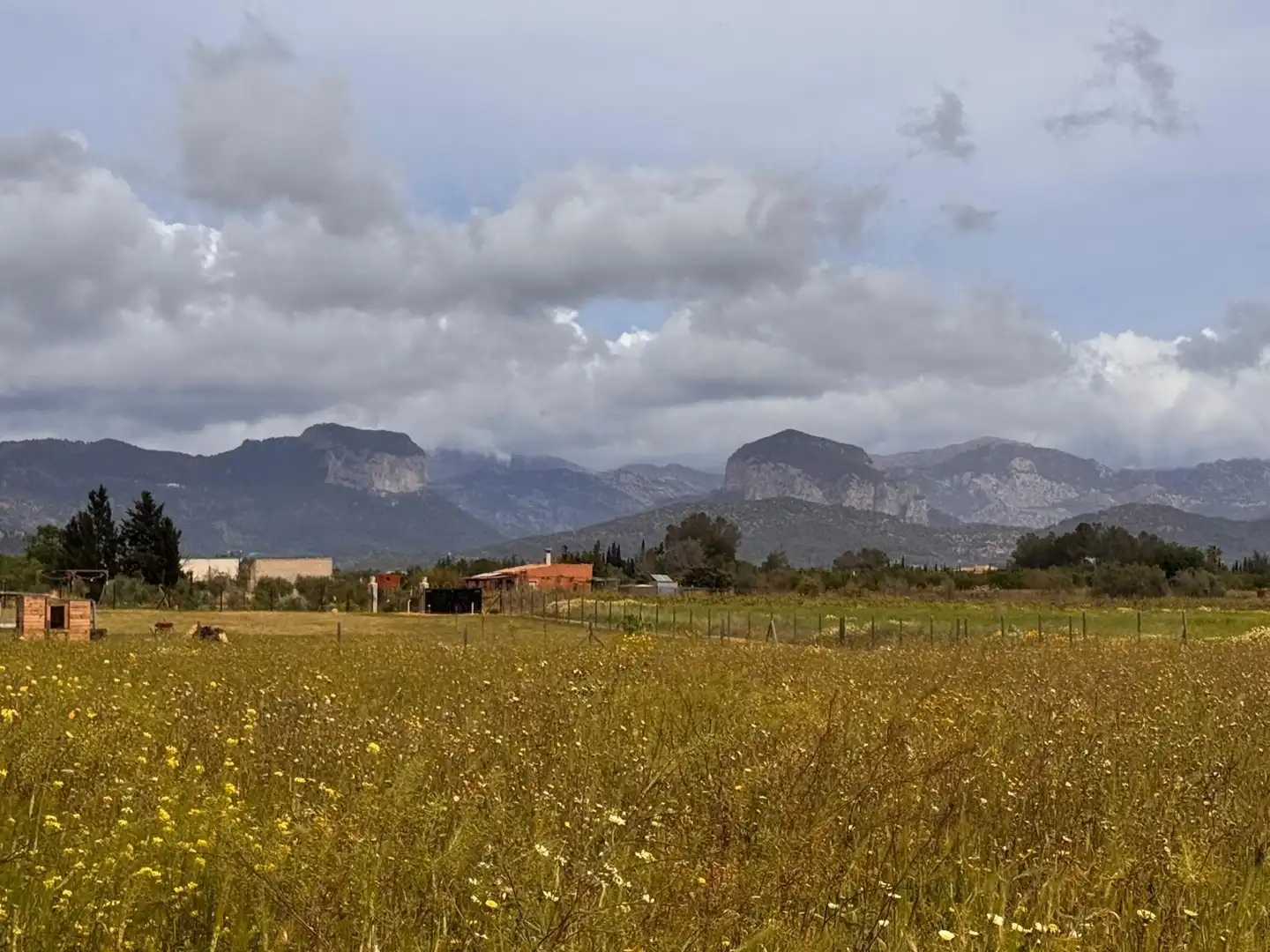 Fabrik Grundstücke zum Verkauf in Santa Eugènia