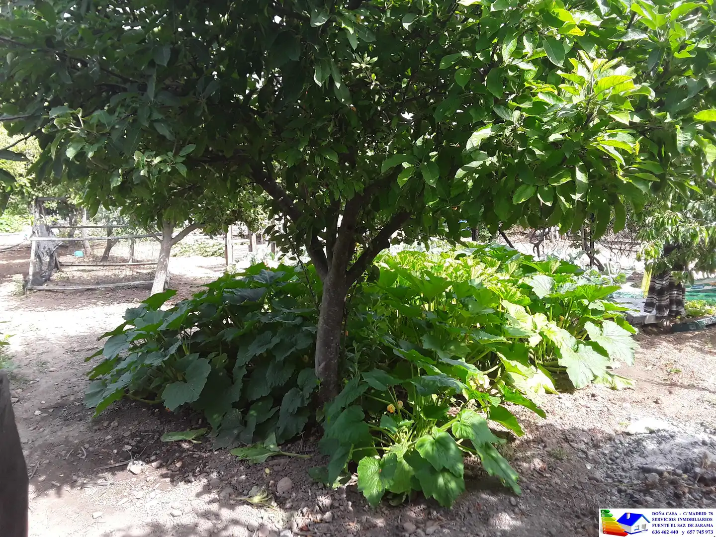 Jardín de Casa o chalet en venta en Fuente El Saz de Jarama con Aire acondicionado, Calefacción y Jardín privado