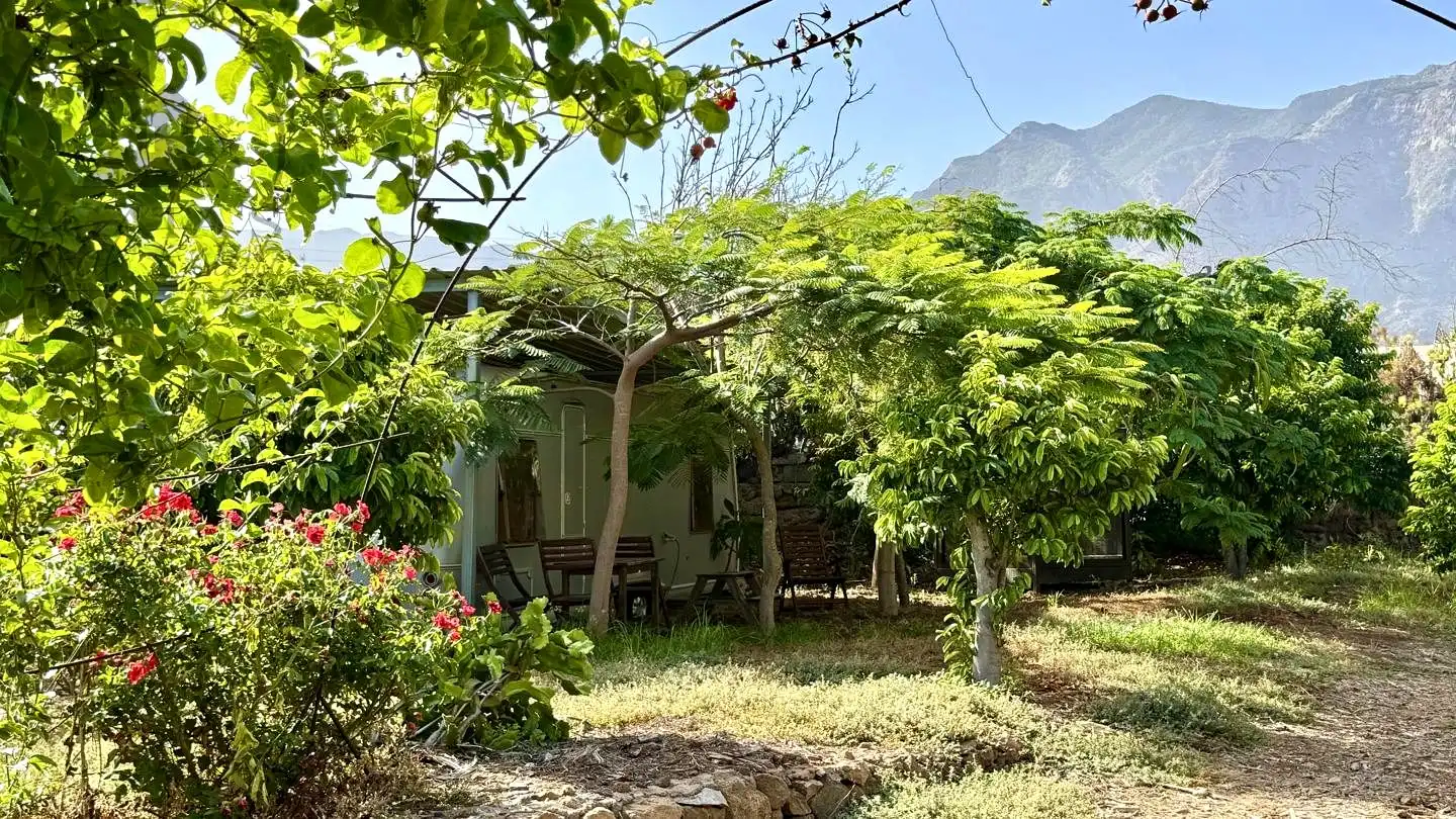 Jardí de Finca rústica en venda en Buenavista del Norte amb Jardí privat i Terrassa