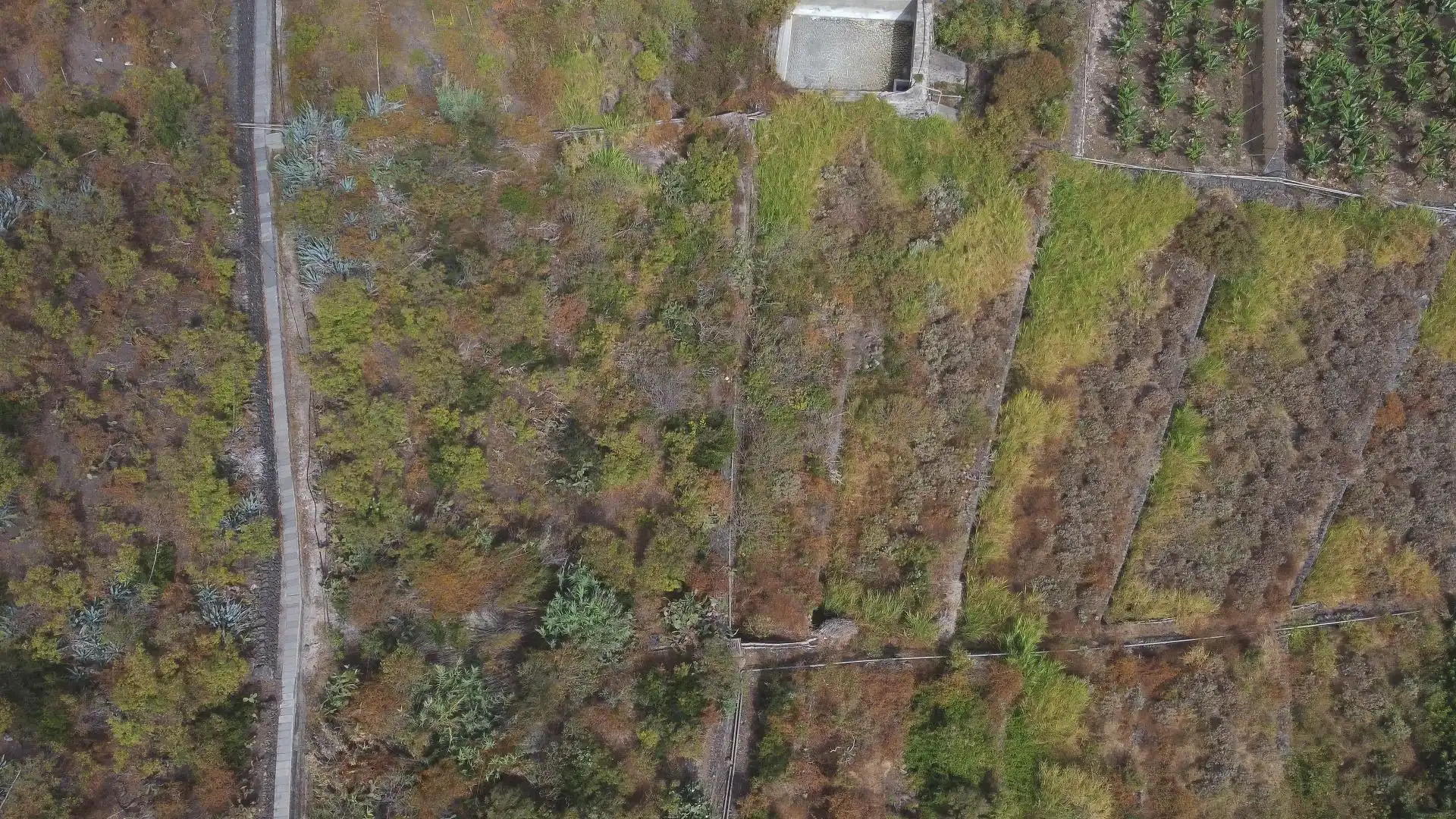 Land for sale in Los Silos