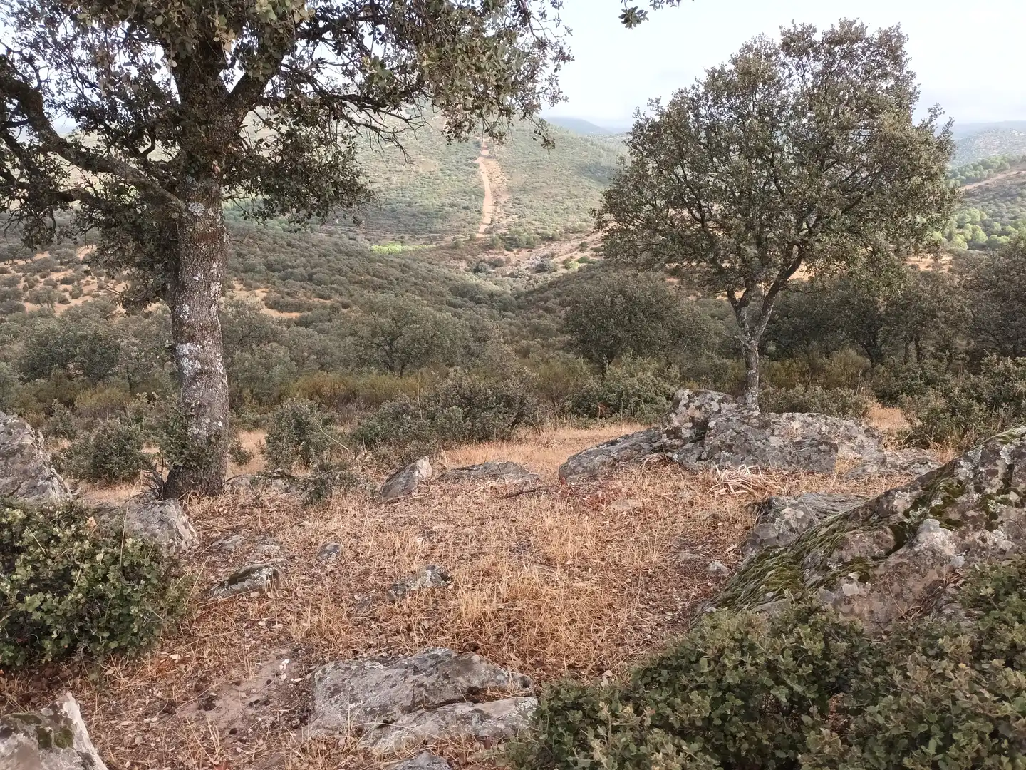 Land for sale in Vilches