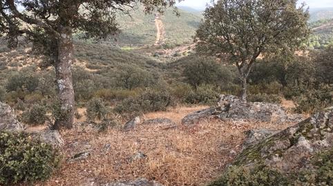 Foto 5 von Grundstücke zum Verkauf in Vilches, Jaén