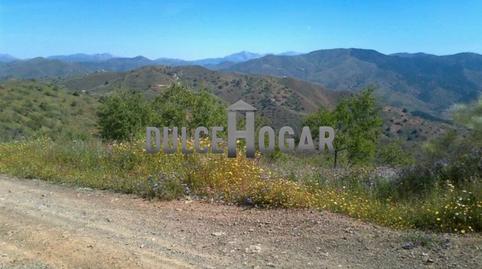 Foto 5 de Finca rústica en venta en El Cortijuelo, Málaga