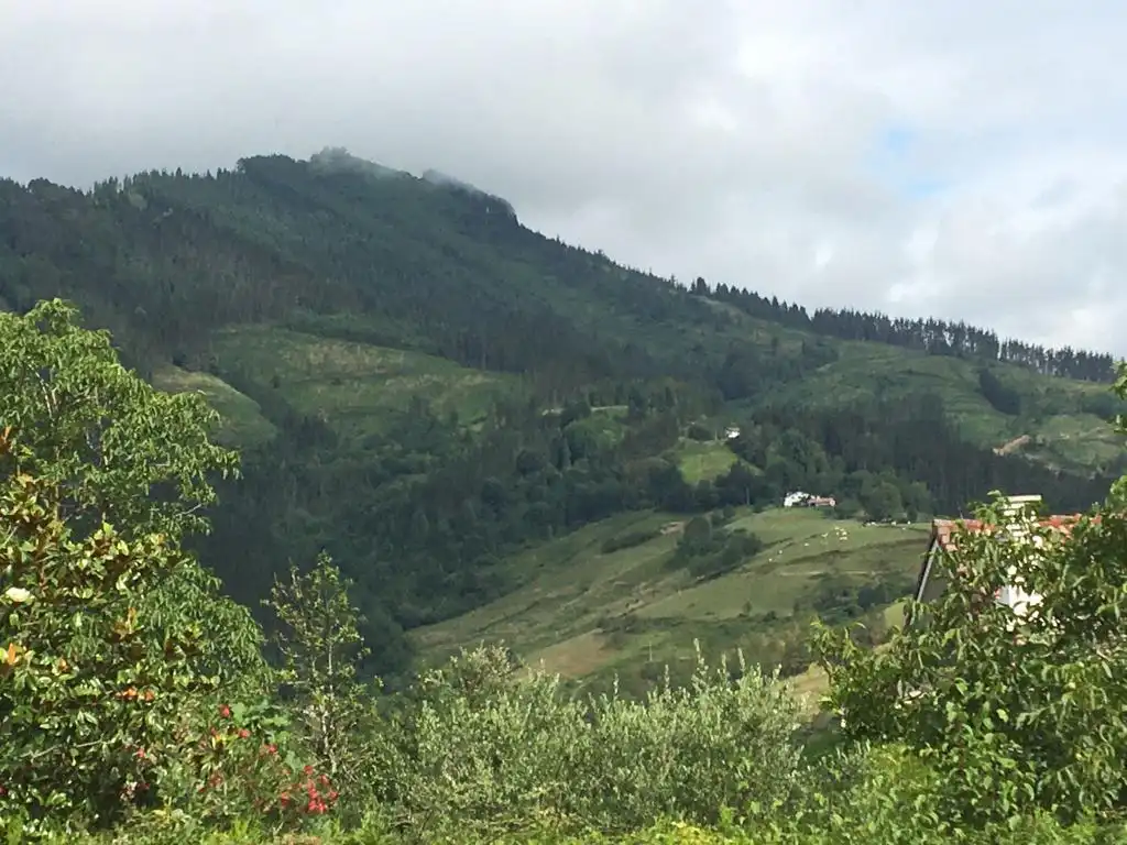 Vista exterior de Finca rústica en venda en Mallabia