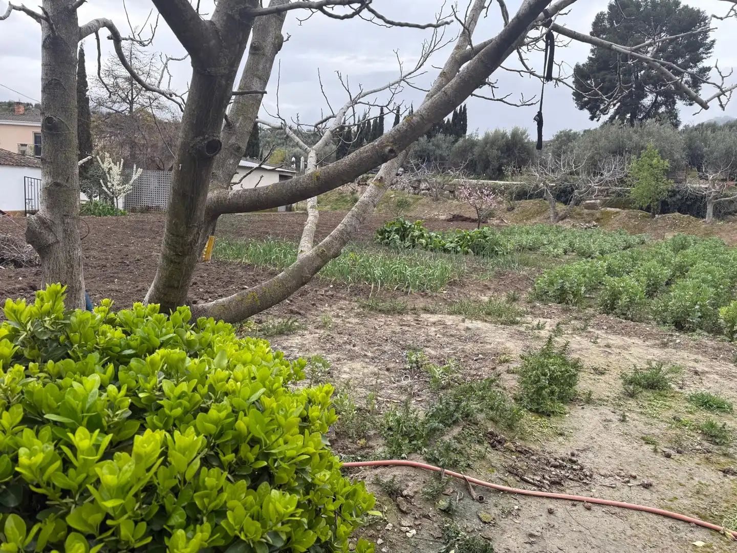 Houses for sale in Jaén  with Private garden