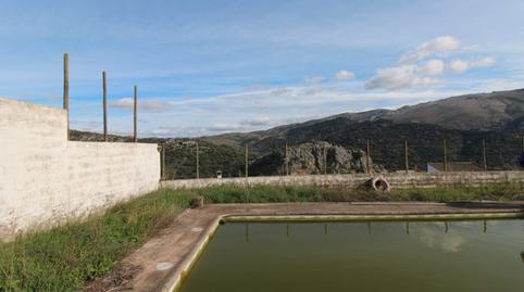 Foto 4 de Casa o chalet en venta en Calle Barrio Alto, 26, Benaoján, Málaga