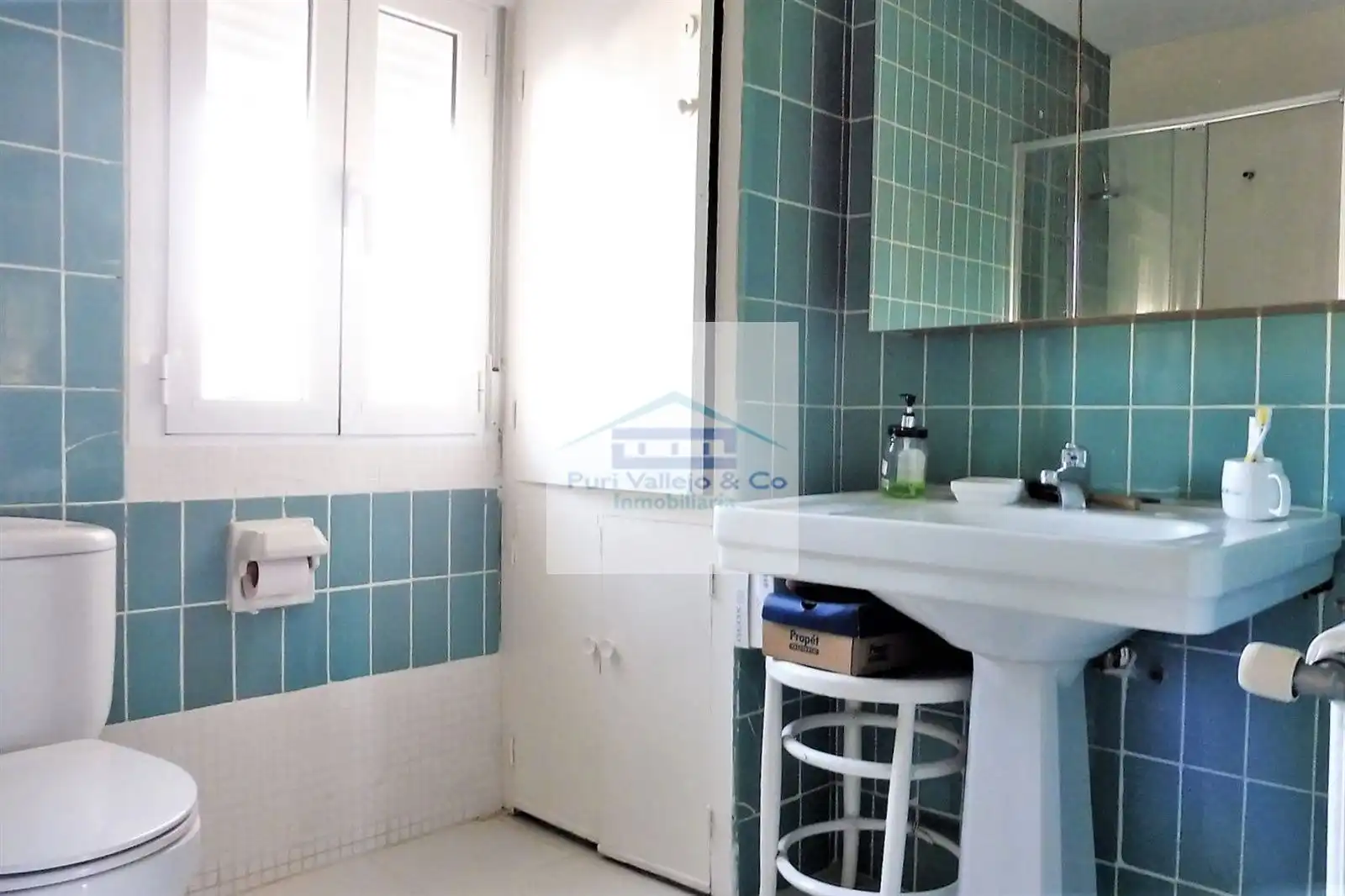 Villa con piscina in vendita a Norte-Sierra, imagen 20