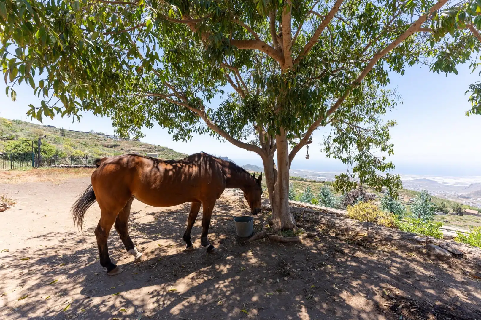 Villa avec jardin à vendre à Arona pueblo, imagen 60