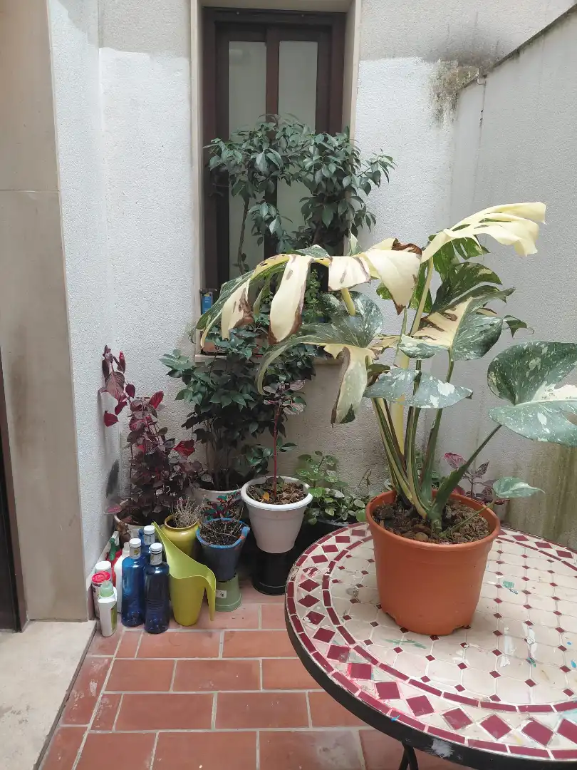 Casa a schiera in vendita a Sur, imagen 15