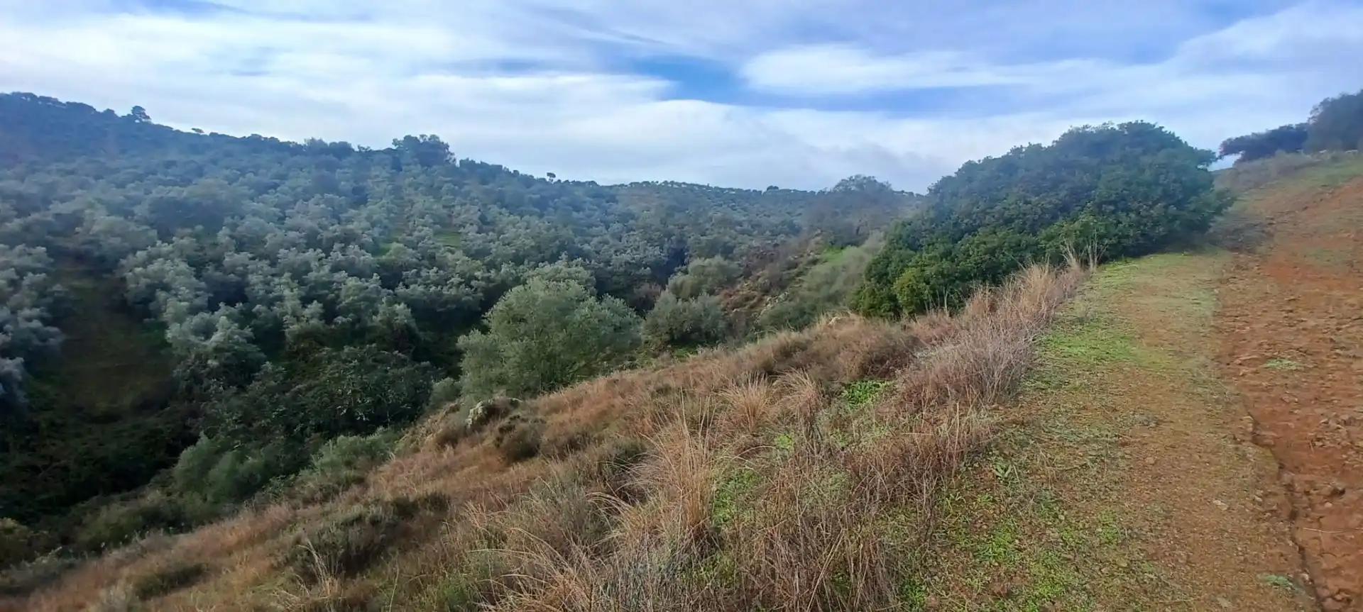 Terreny rústic en venda a Cazalla de la Sierra, imagen 40