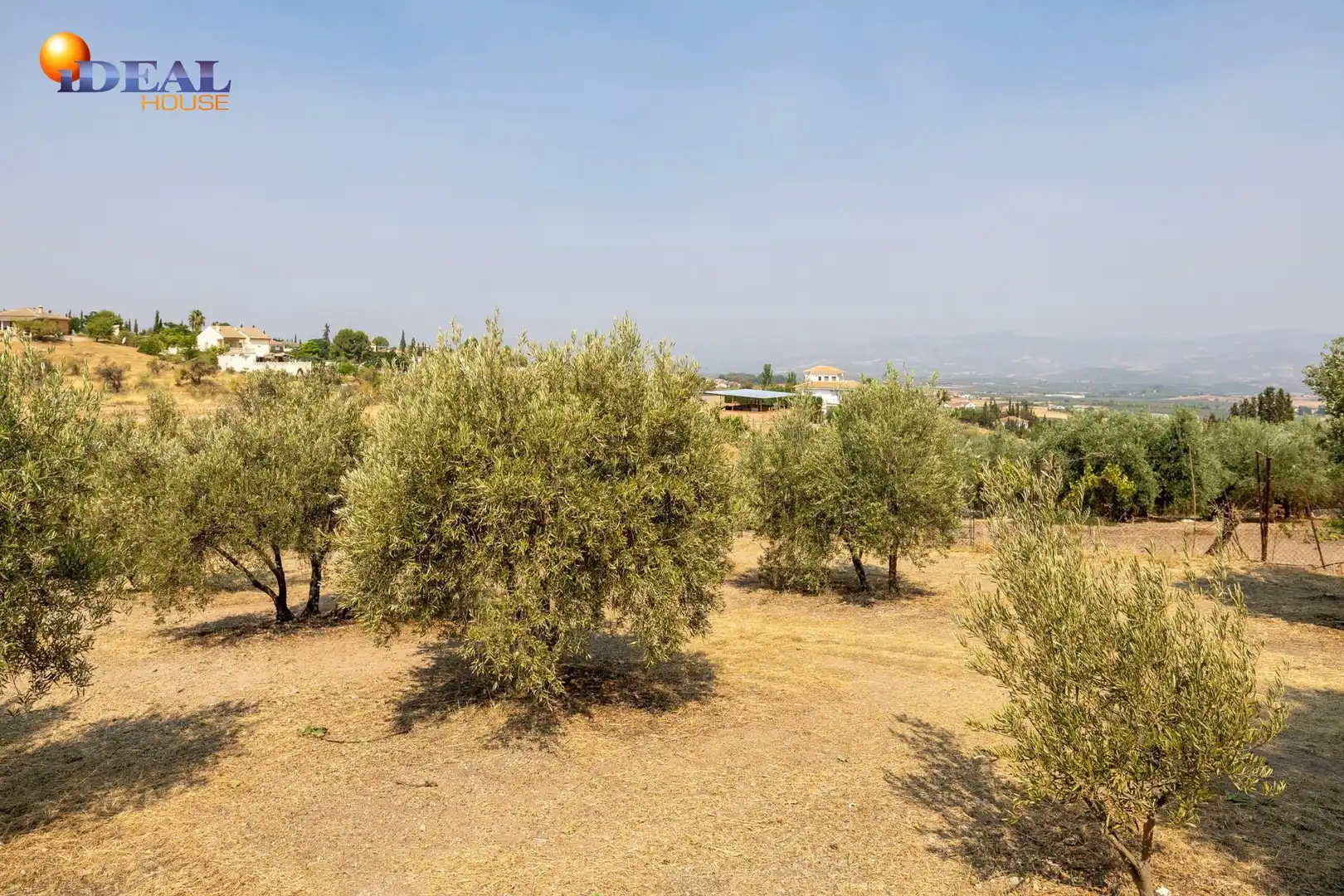 Finca rústica en venta en Moraleda de Zafayona