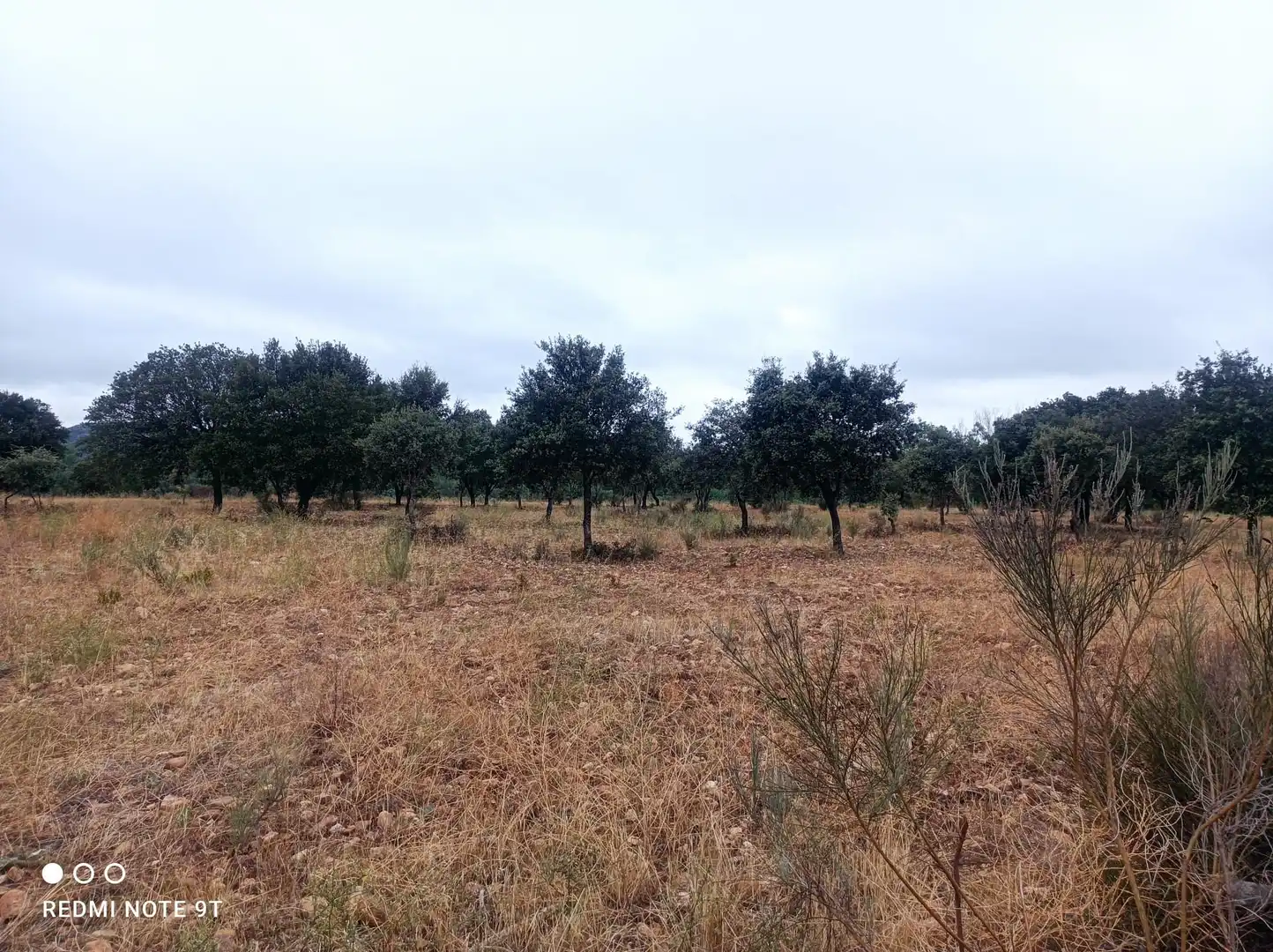 Terreno rústico en venta en Ronda de Serradilla 10, imagen 10