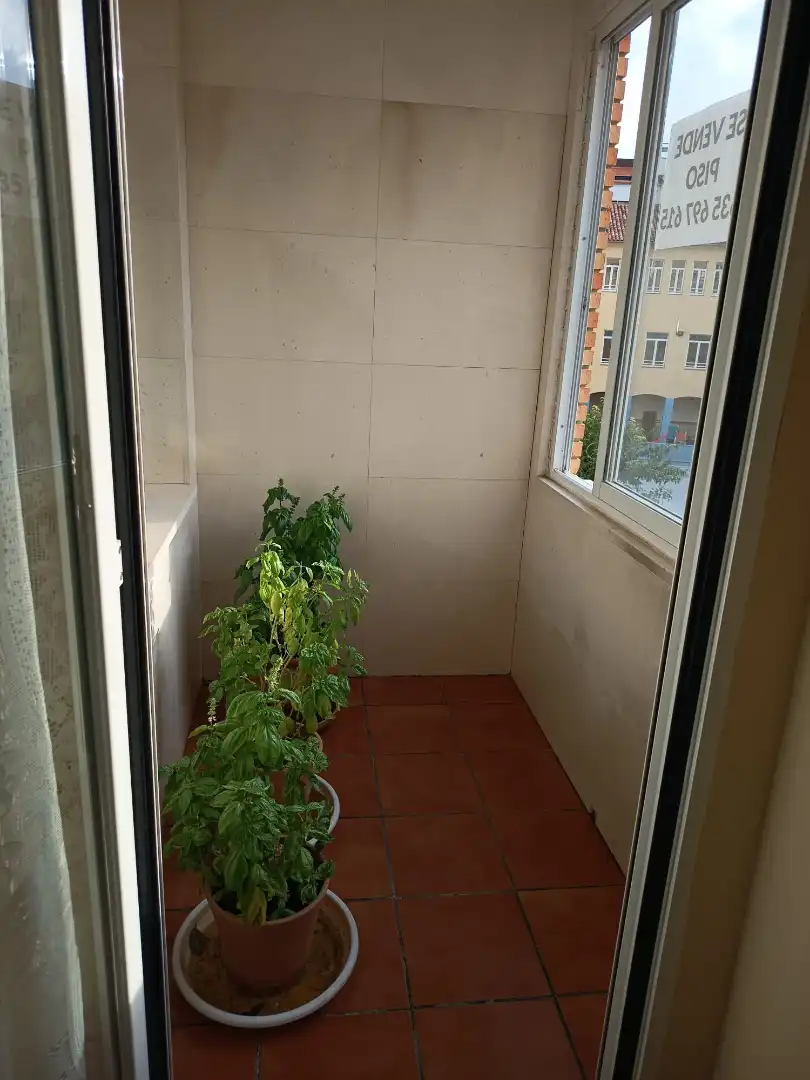Wohnung mit Terrasse zum Verkauf in Calle Nueva 24, imagen 2