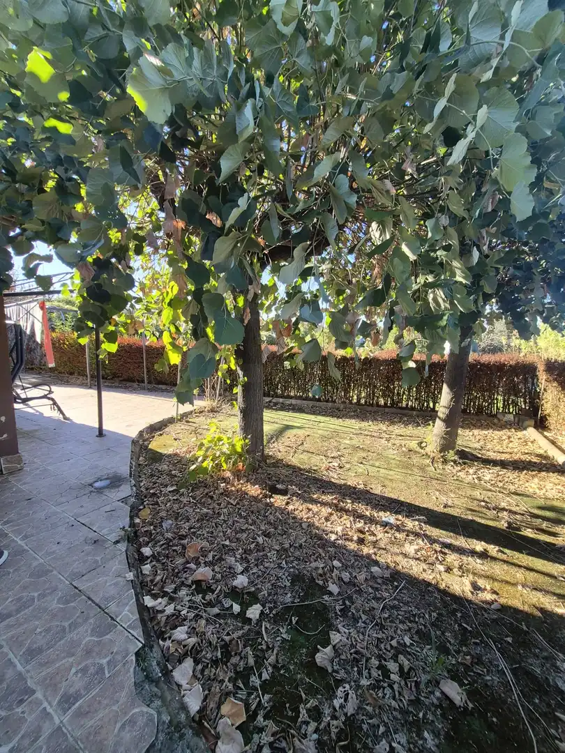 Terreny residencial en venda a Calle De La Fuente 90, imagen 18