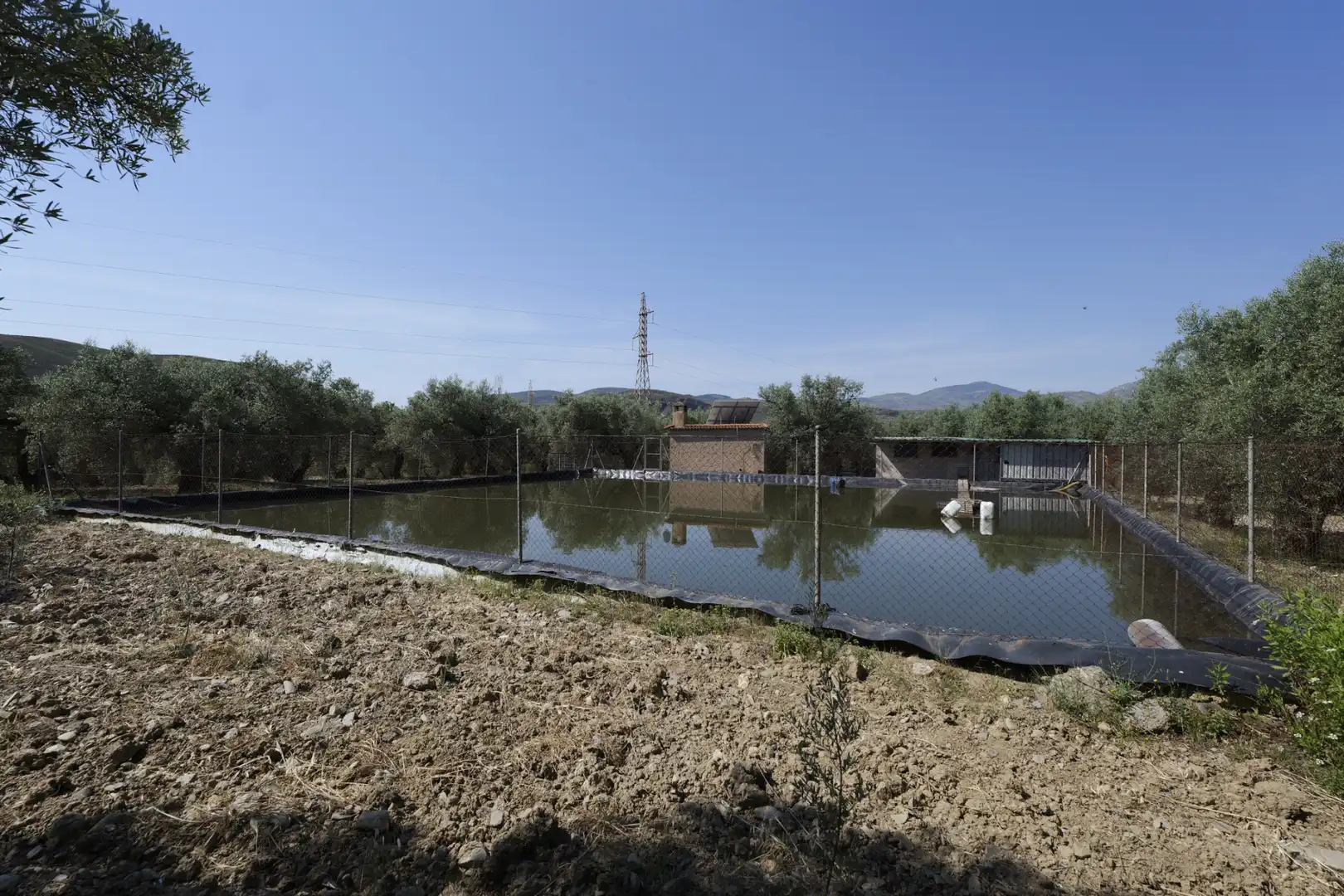 Swimming pool of Country homes for sale in Ugíjar
