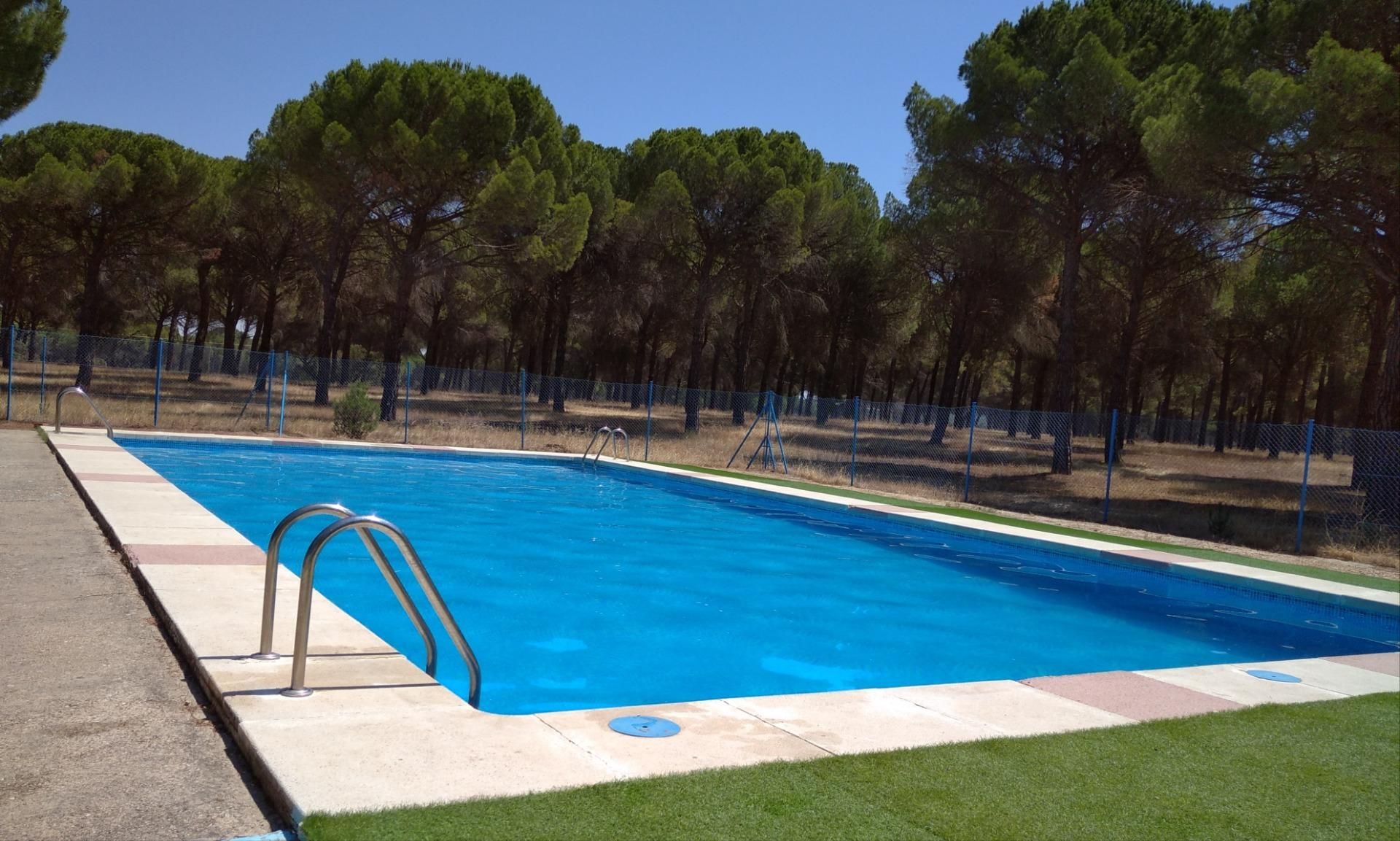 Swimming pool of Country house for sale in Villanueva de Duero  with Terrace