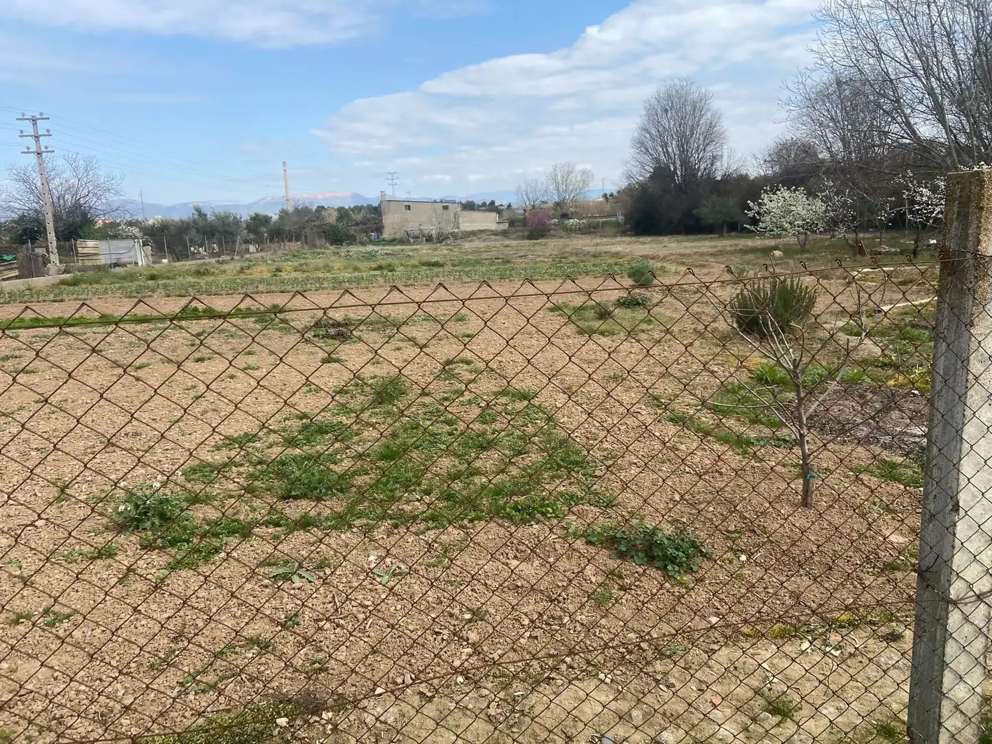 Terreny rústic en venda a Balaguer