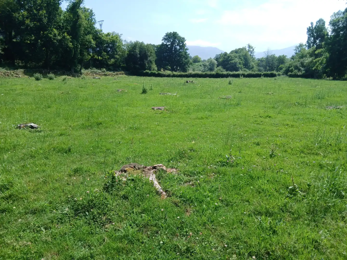 Terreni e lotti in vendita a San Felices de Buelna, imagen 16