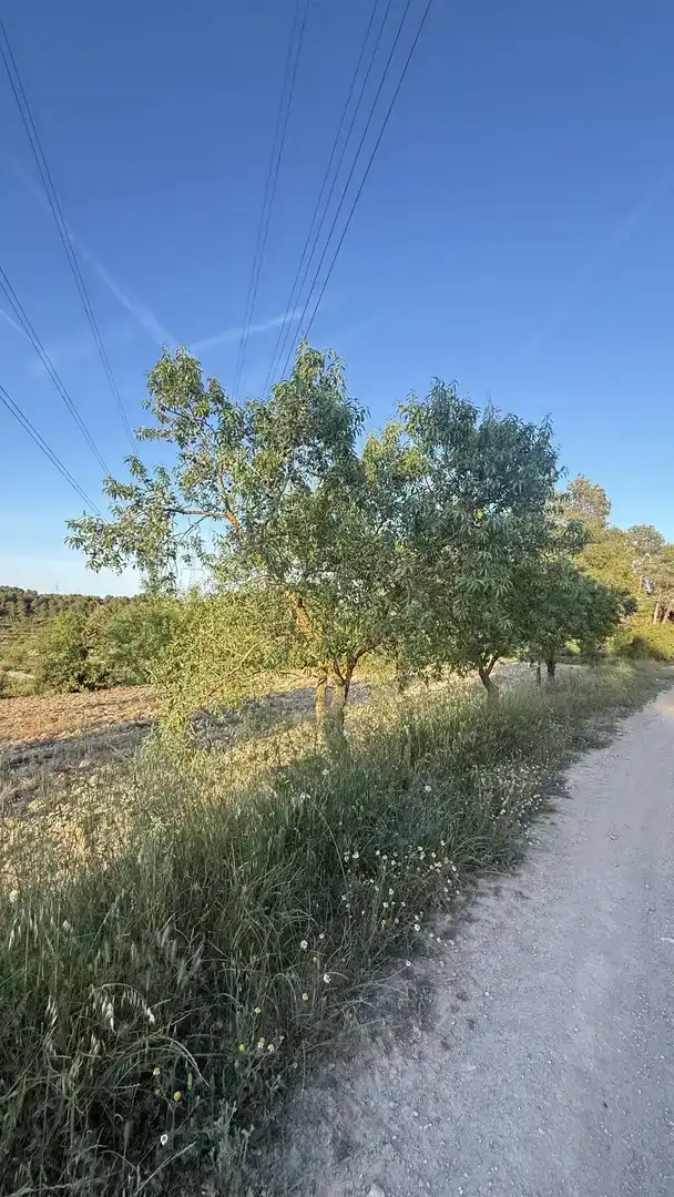 Finca rústica en venda en La Fatarella amb Jardí privat