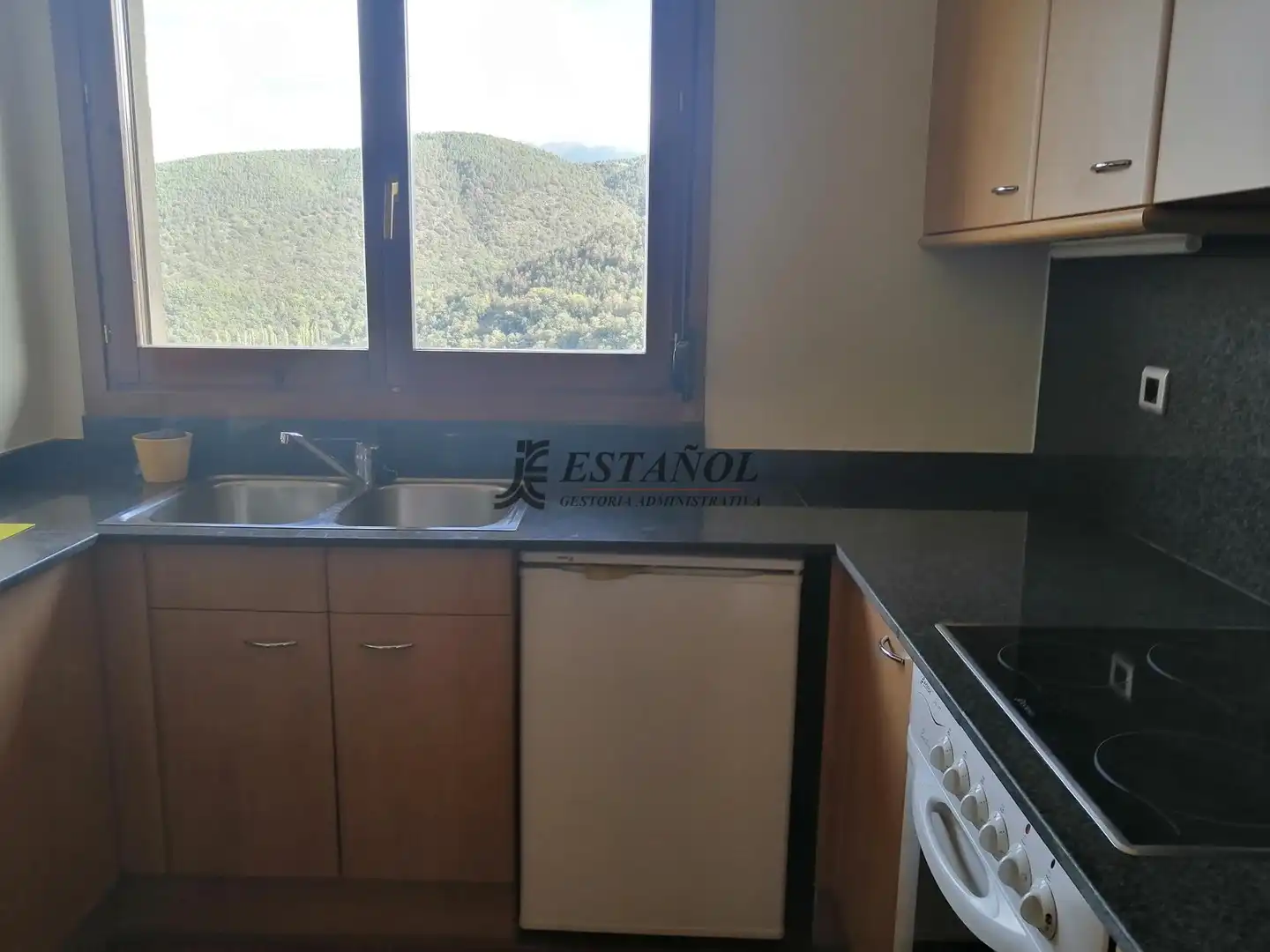 Flat with lift for sale in Montferrer i Castellbò, imagen 13