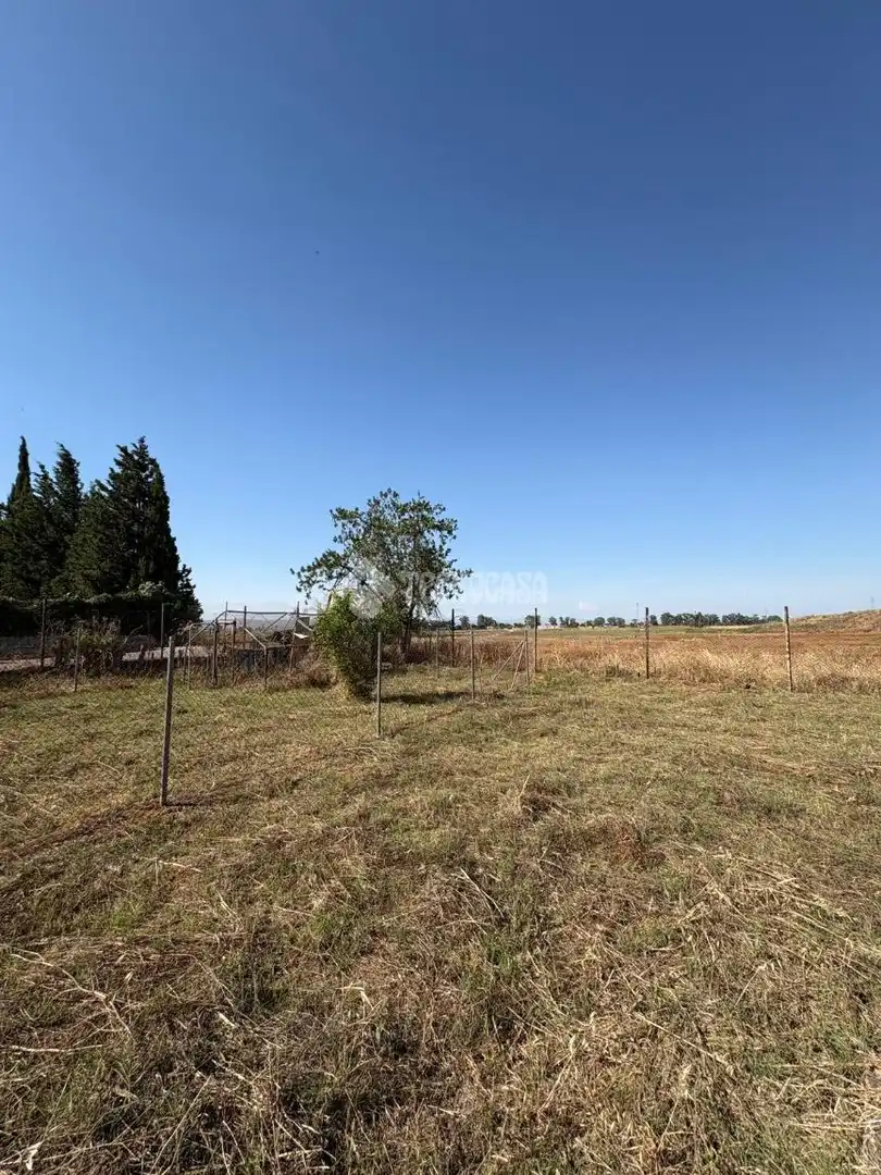 Casa o xalet en venda en La Rinconada amb Jardí privat