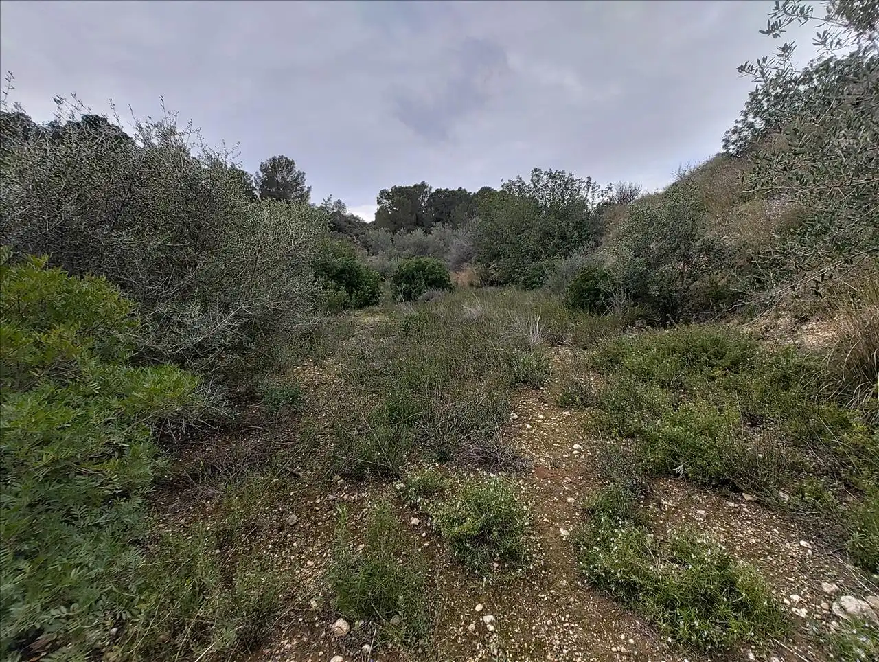 Terreno residencial en venta en Cantalars, Pol.9, Parc. 123(A,B,C Y D) Y Parcela 233. Barranco De Montell, imagen 10