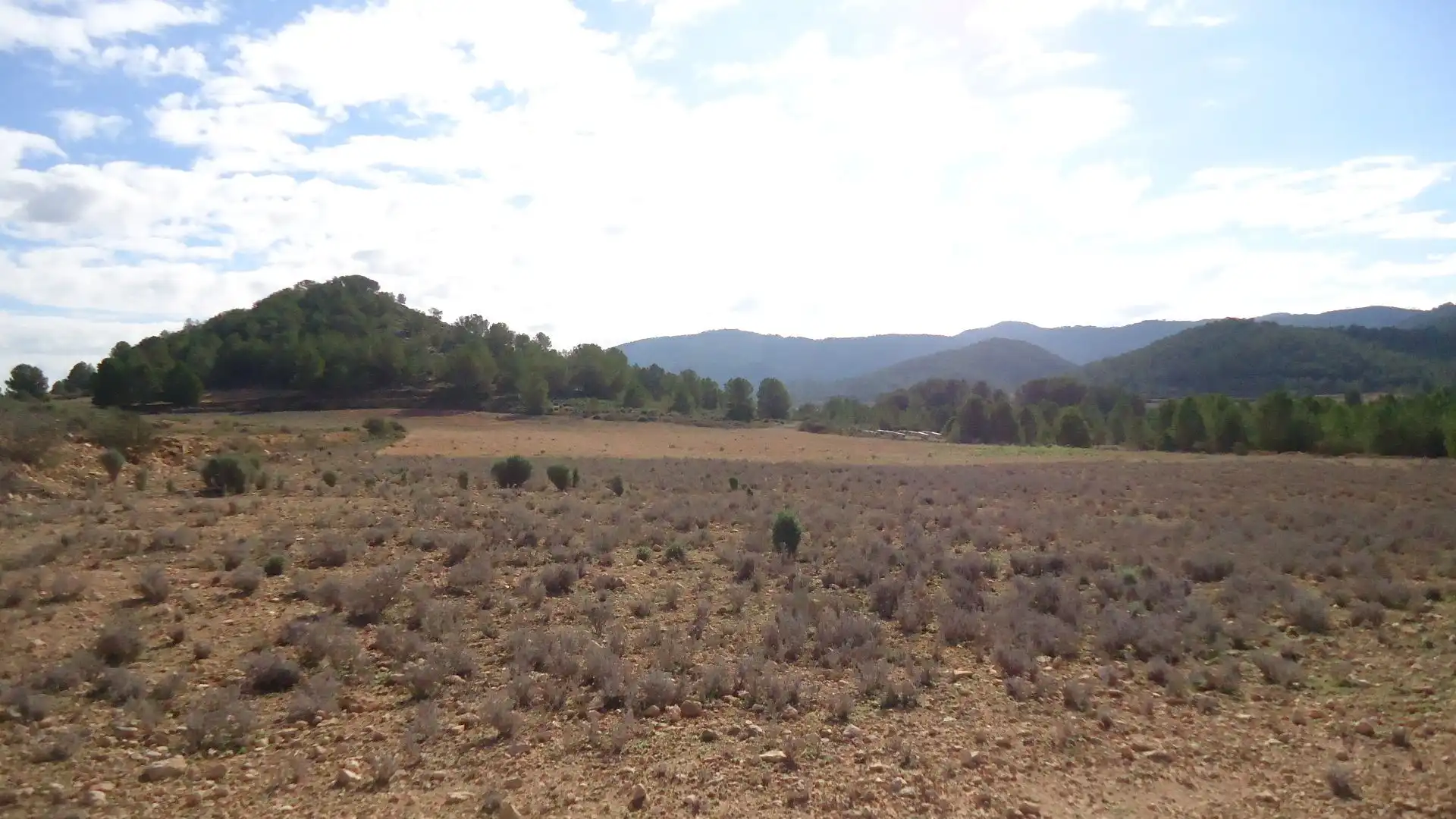 Terreno rústico en venta en Monóvar  / Monòver, imagen 7