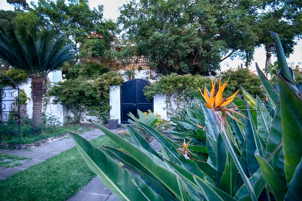 Casa o chalet en venta en Calle Real de Coello, Monte Lentiscal - Las Meleguinas
