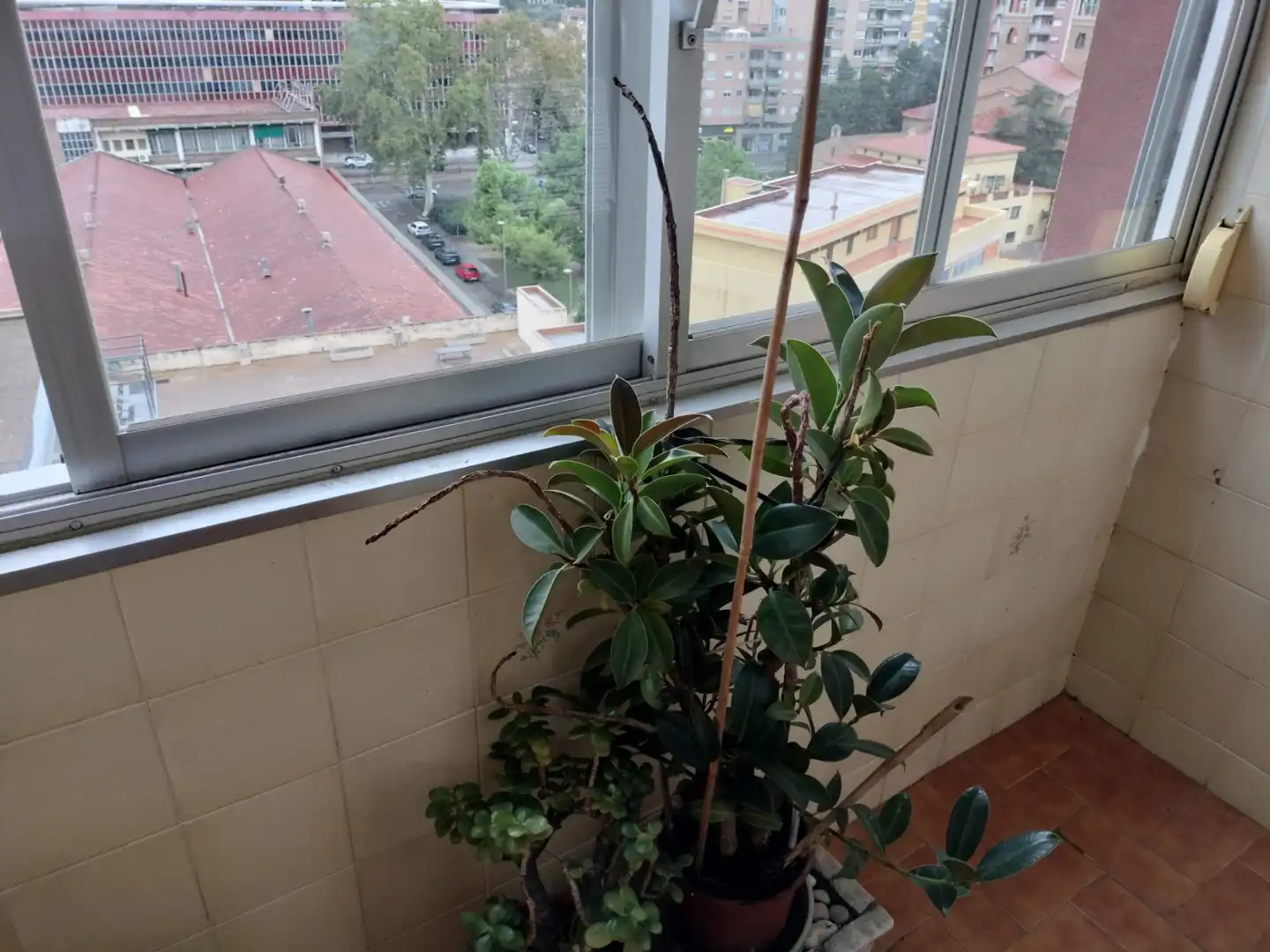Pis amb terrassa en venda a Passatge de Jansana, imagen 5