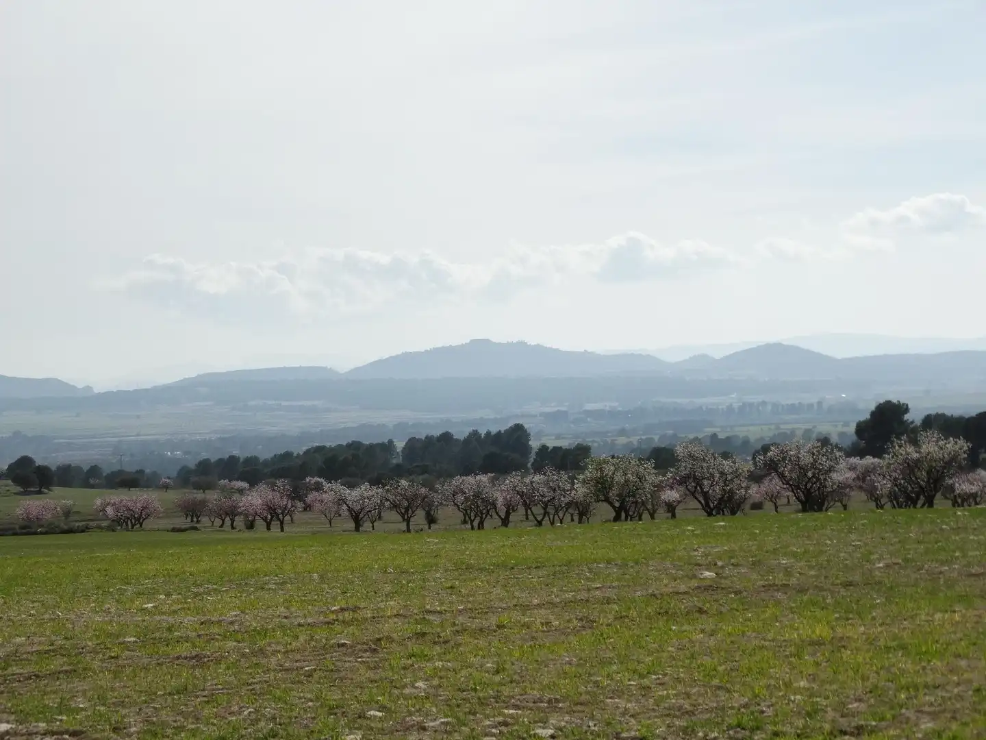 Terreni e lotti in vendita a Moratalla, imagen 11