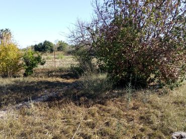 Terreno residenziale in vendita a Casco Urbano