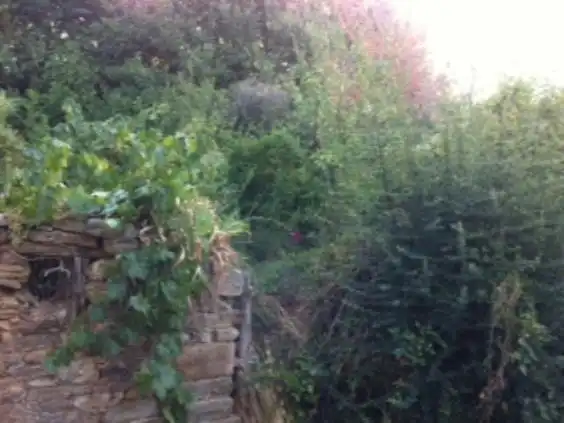 Maison à vendre à Priaranza del Bierzo, imagen 10