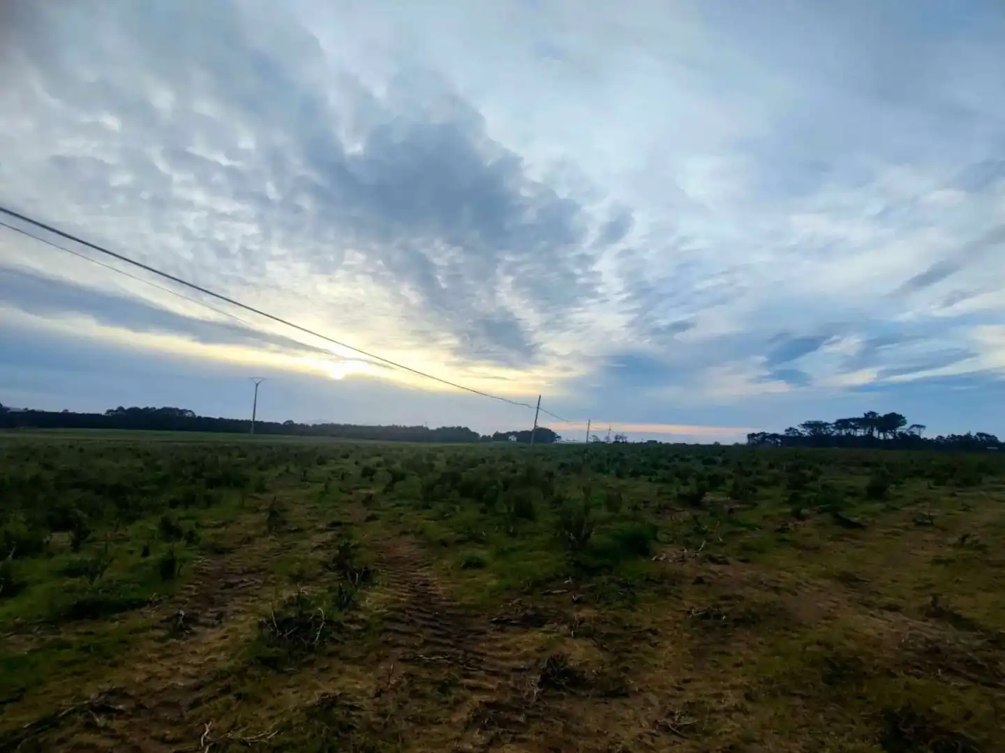 Terrain résidentiel à vendre à El Forcado, Campos y Salave
