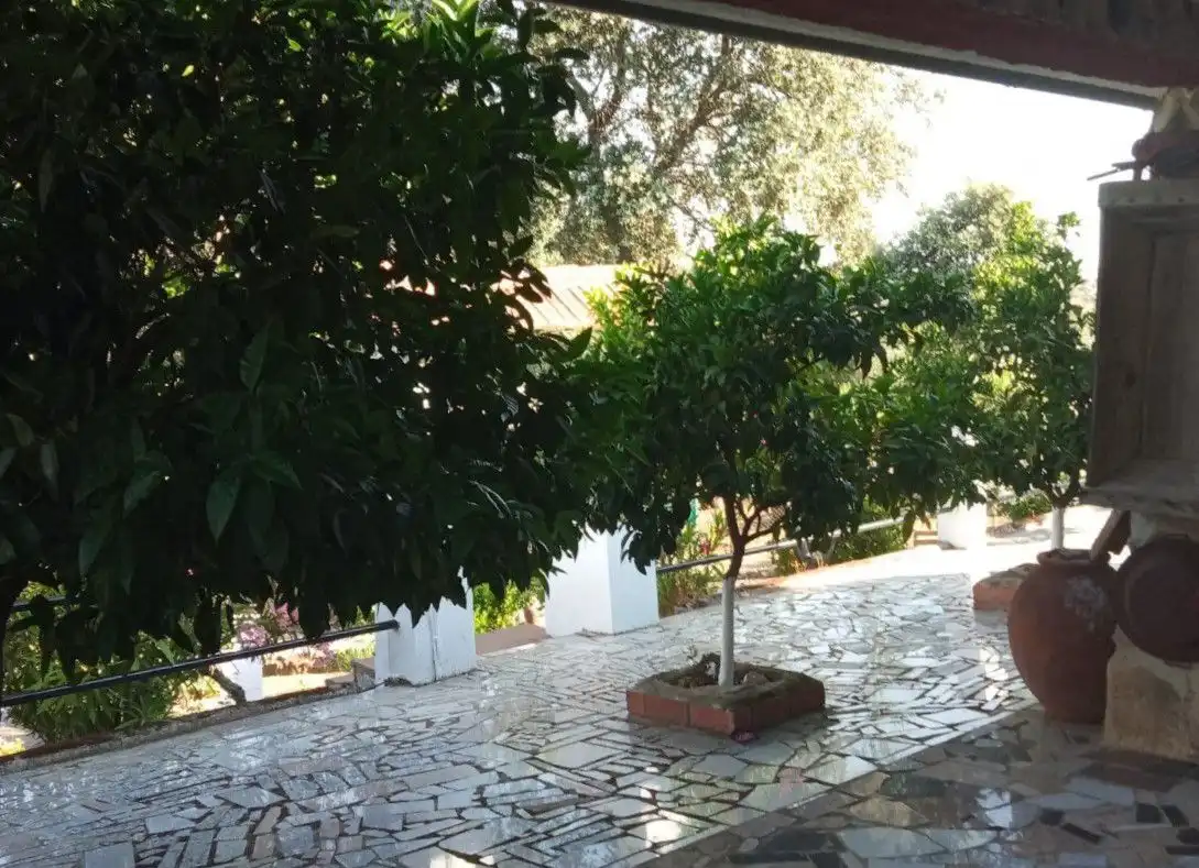 Jardín de Casa o chalet en venta en Malpartida de Plasencia con Aire acondicionado, Terraza y Piscina