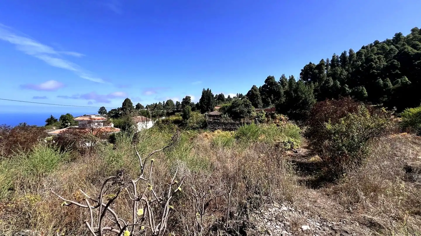 Rural land for sale in La Vega - El Amparo - Cueva del Viento, imagen 13