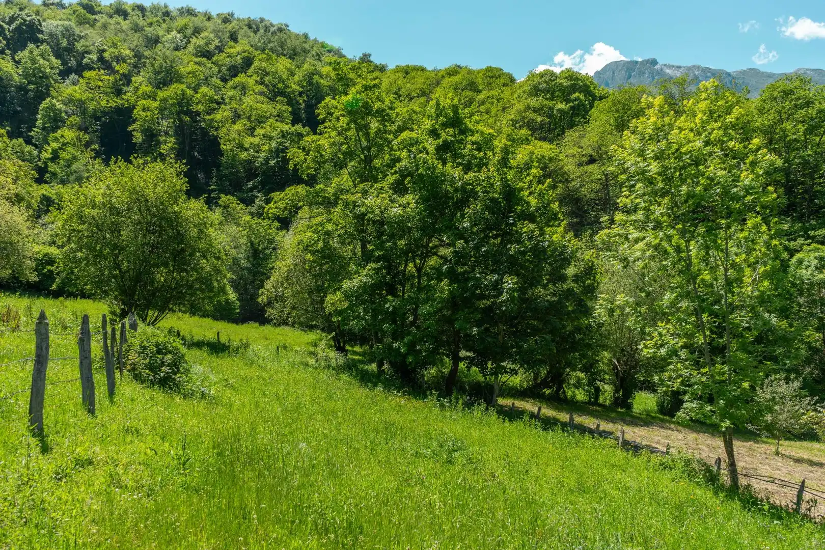 Casa in vendita a Lugar Lugar Ricabo 200, imagen 22