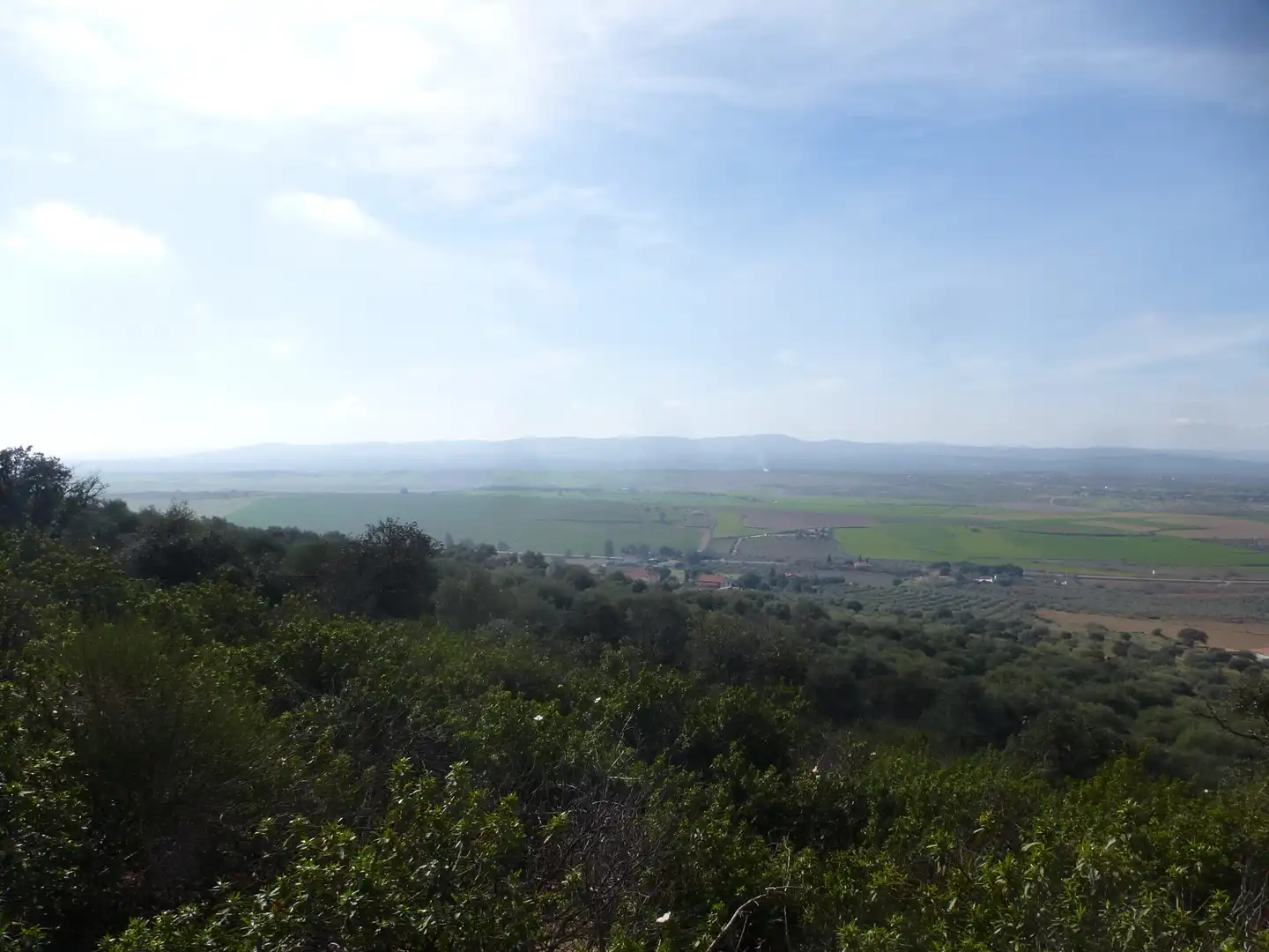 Exterior view of Land for sale in La Haba 