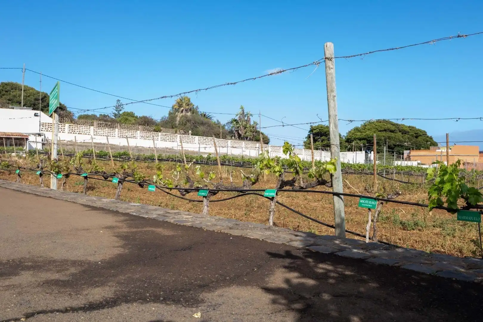 Exterior view of Houses for sale in San Cristóbal de la Laguna  with Terrace