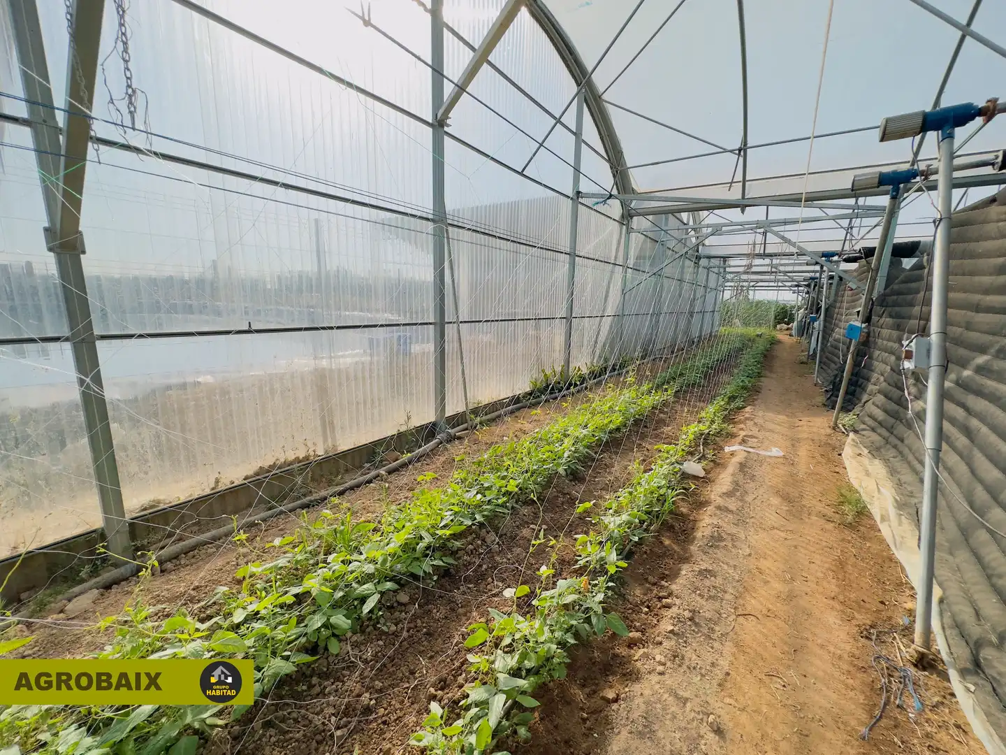 Terreno rustico in vendita a Vilamarina, imagen 56