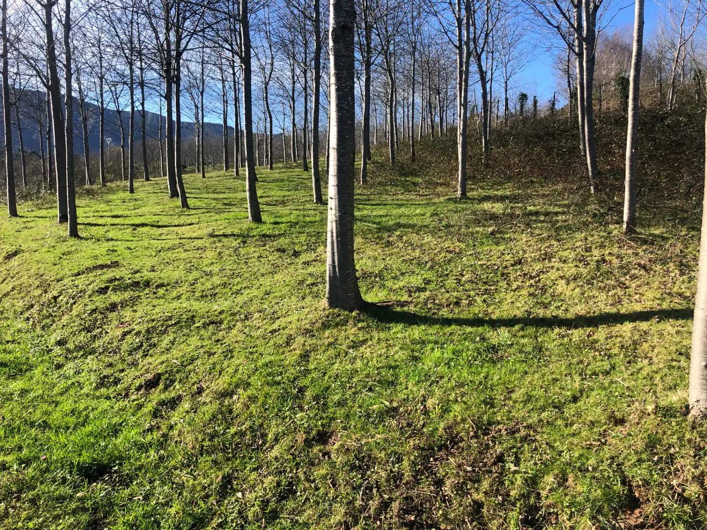 Casa o chalet en venta en Valdáliga con Calefacción, Jardín privado y Trastero