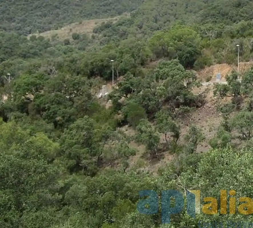 Terreny residencial en venda a Carrer Avet 23, imagen 6