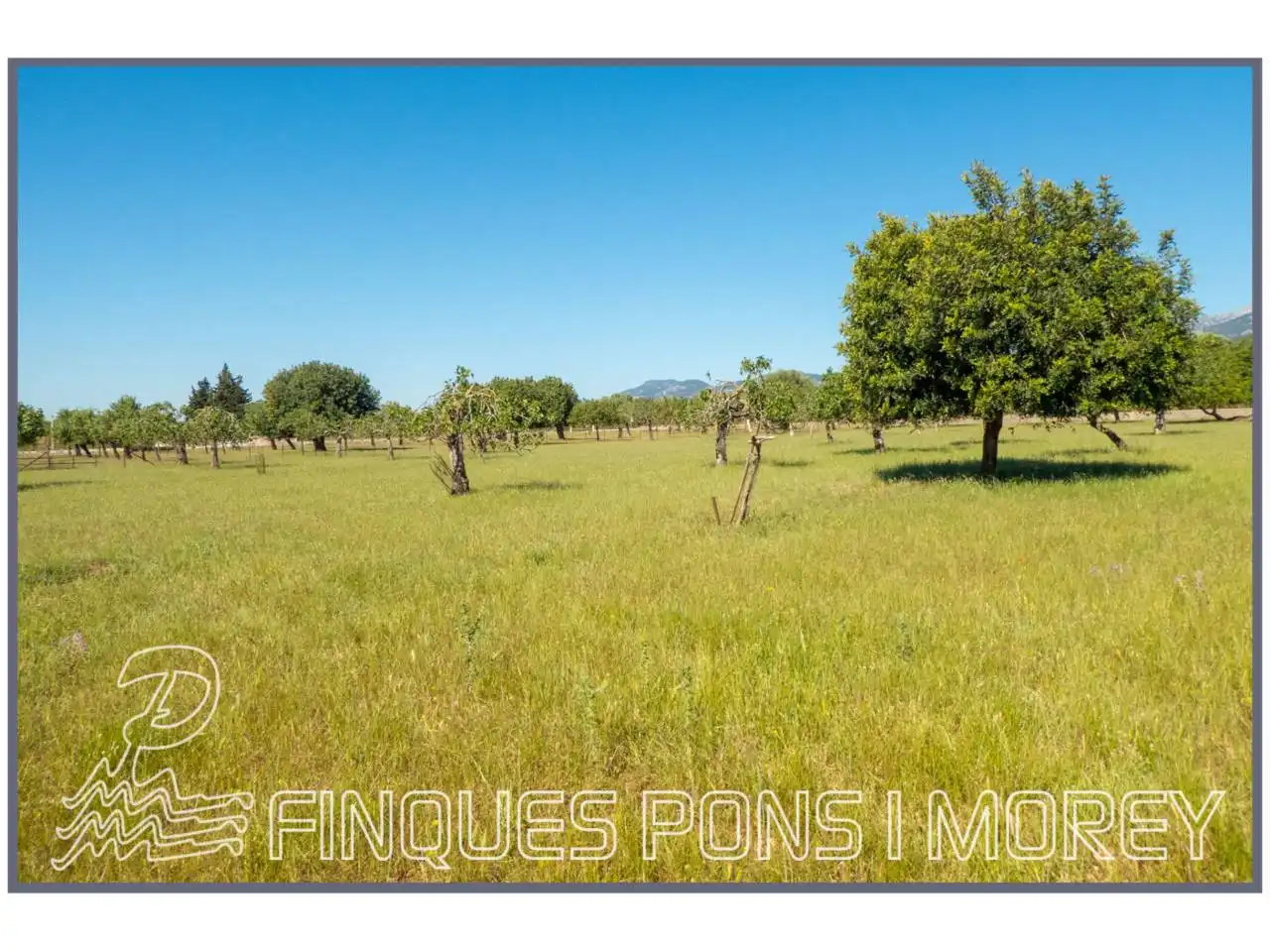Finca rústica en venda en Campanet