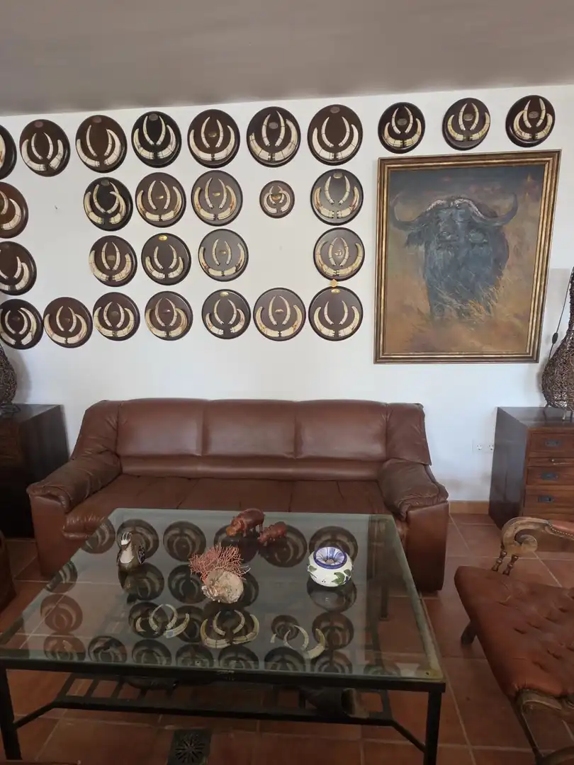 Sala de estar de Casa o chalet en venta en Casares