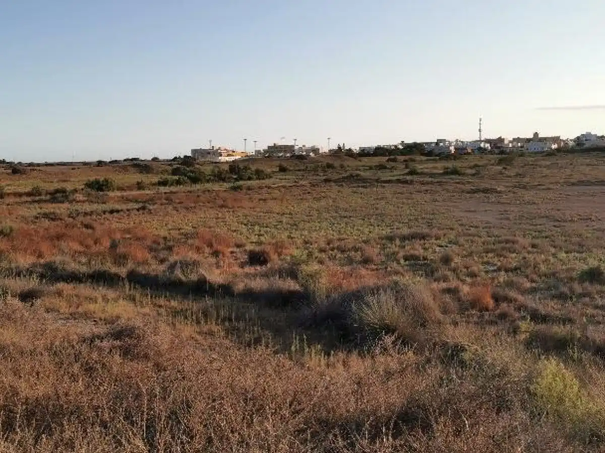 Terreno rustico in vendita a Camino LOS HUERTOS, imagen 15