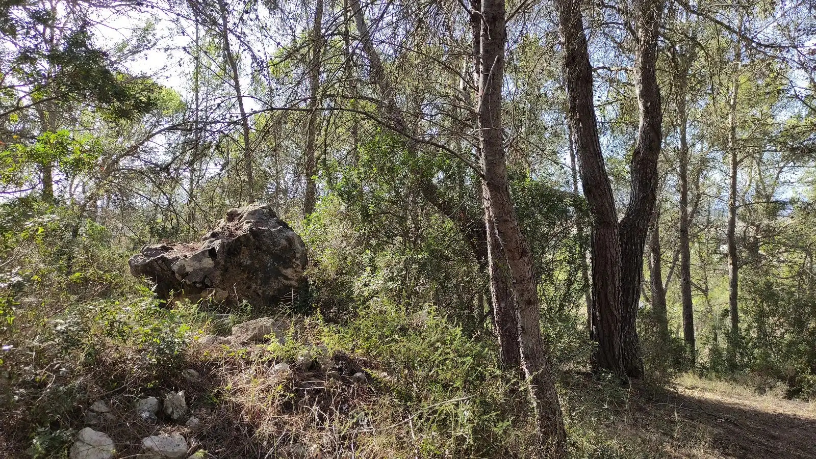 Wohnbaugrundstück zum Verkauf in Santa Margalida Poble, imagen 14
