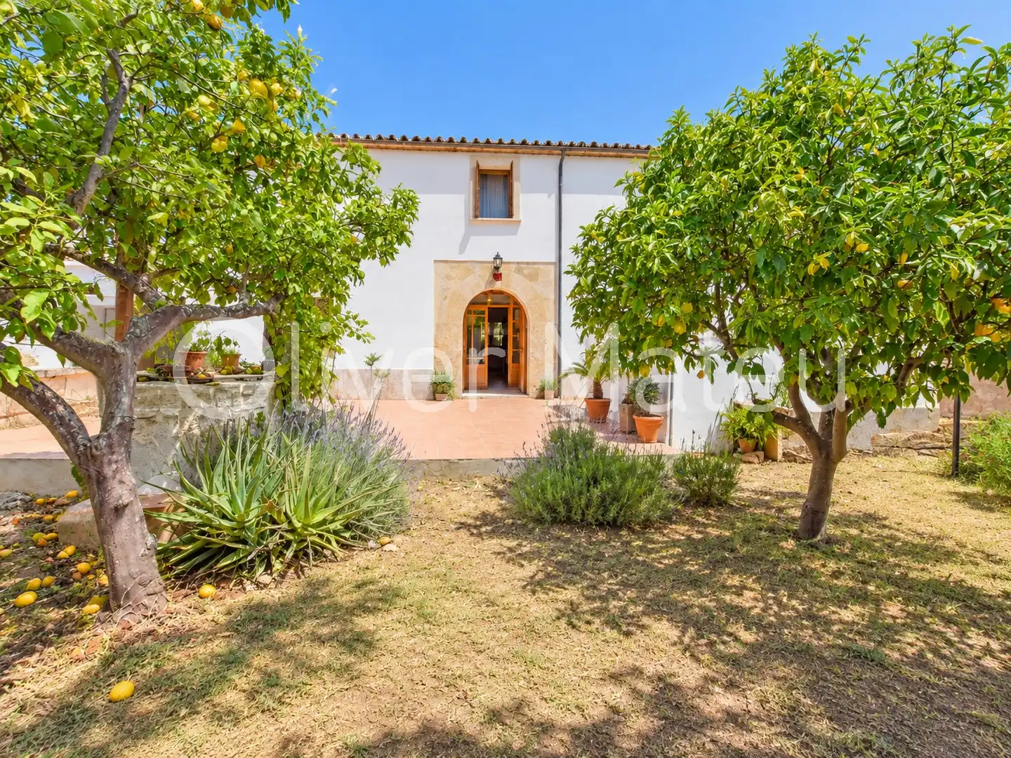 Villa mit Terrasse zum Verkauf in Nord, imagen 19