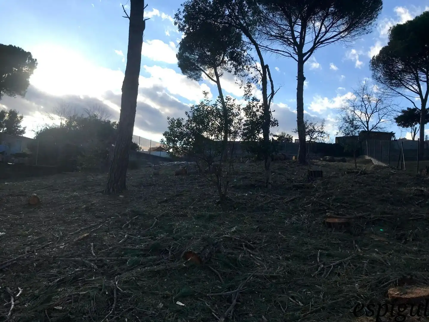 Terreno rústico en venta en Can Marti de les Barraques 14, imagen 5