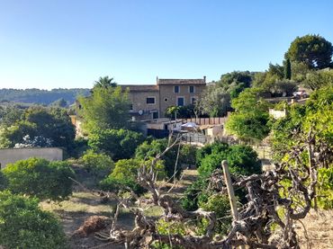 Reihenhaus mit Pool zum Verkauf in Sóller